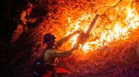 Incêndios na Califórnia: Autoridade ressalta alerta sobre ordens de retirada