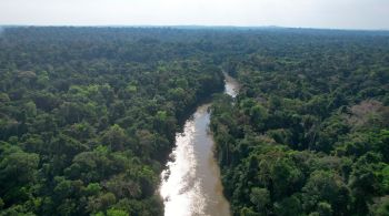 Líder global em soluções ambientais, a Ambipar investe em Soluções Baseadas na Natureza como estratégia essencial no enfrentamento das mudanças climáticas.