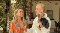 Xuxa exibe bastidores de novo programa da Eliana: "Todo sucesso"