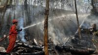 Calor: Bombeiros combatem mais de 300 incêndios florestais no RJ