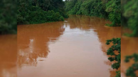 Barragem de garimpo rompe e polui dois grandes rios na Amazônia