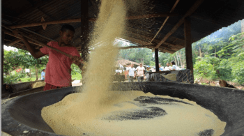 Evento global prioriza alimentos sustentáveis e da produção local, alinhando-se a compromissos climáticos e culturais