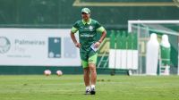 Treino do Palmeiras é alterado por queda de avião em São Paulo