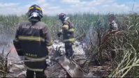 Queda de avião em SP: o que sabemos sobre o acidente em Quadra