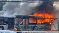 Linhas de ônibus sofrem desvios após queda de avião em SP; veja mudanças