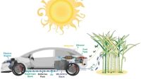 Estudo encontra solução para ajudar transição energética automotiva