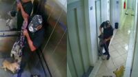 Homem é flagrado maltratando cães dentro de elevador em SP