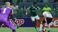 Palmeiras vira, vence Botafogo e segue vivo no Paulistão