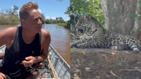 Leonardo encontra onça durante pescaria no Pantanal; veja vídeo