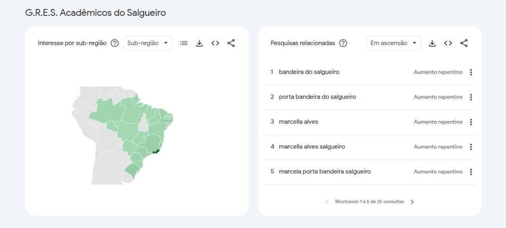 Buscas relacionadas ao Salgueiro no Google