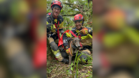 Cão é resgatado após sofrer queda de mais de 100 metros em RS