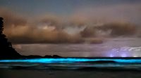 "Onda de Luz" em praia impressiona moradores e turistas em Ubatuba