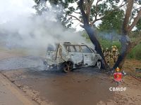 Carro em zigue-zague bate em árvore, pega fogo e dois morrem em Brasília