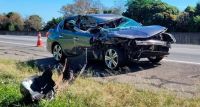 Jogadores do Bragantino sofrem acidente de carro em SP