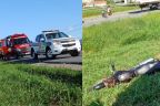 Motociclista morre atingido por linha com cerol em Santa Catarina