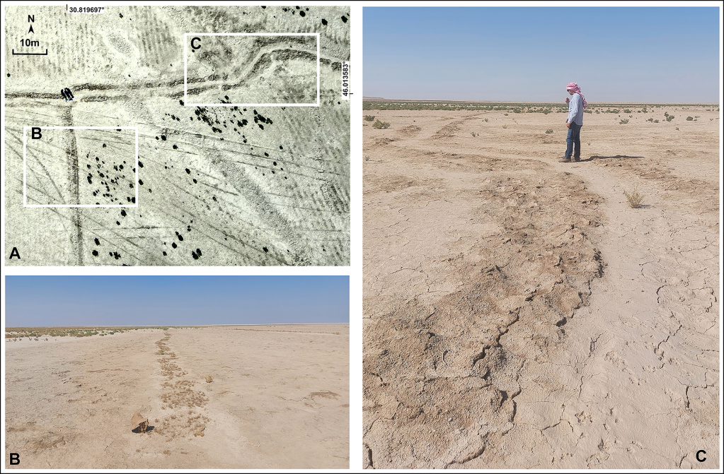 Verificação do trabalho de sensoriamento remoto: A) imagens de drones mostram dois pequenos canais de irrigação; B e C) fotografias dos dois pequenos canais