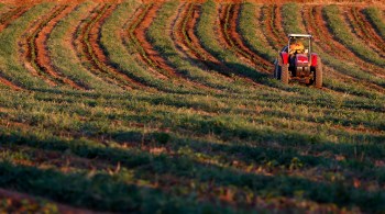 À CNN, porta-voz da Confederação Nacional da Agricultura e Pecuária falou sobre planos do setor para a conferência, que acontece na Escócia