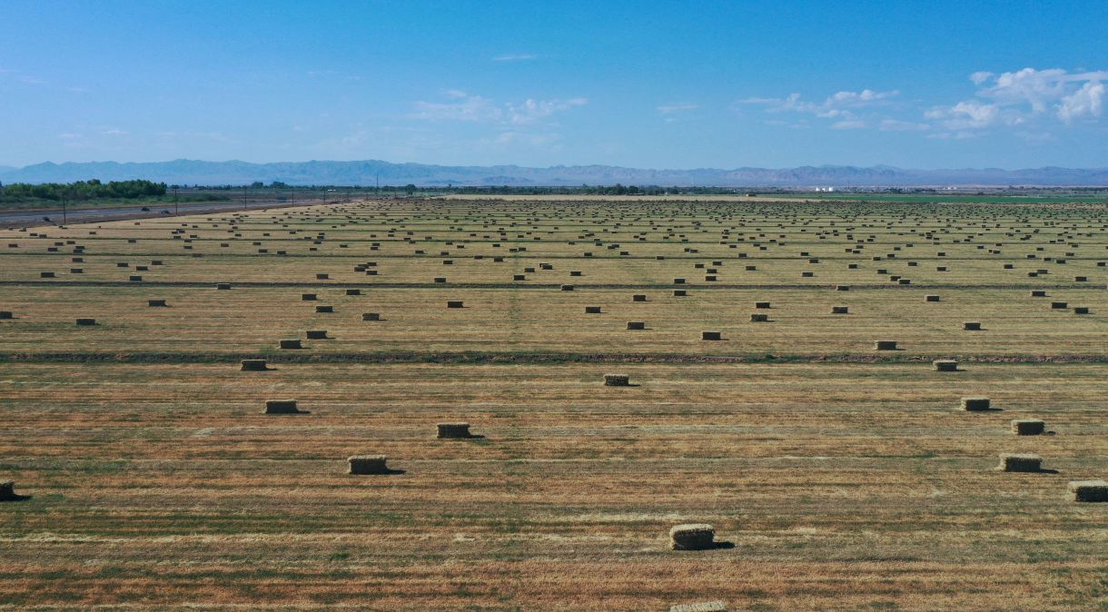 Vista aérea de plantação na Califórnia