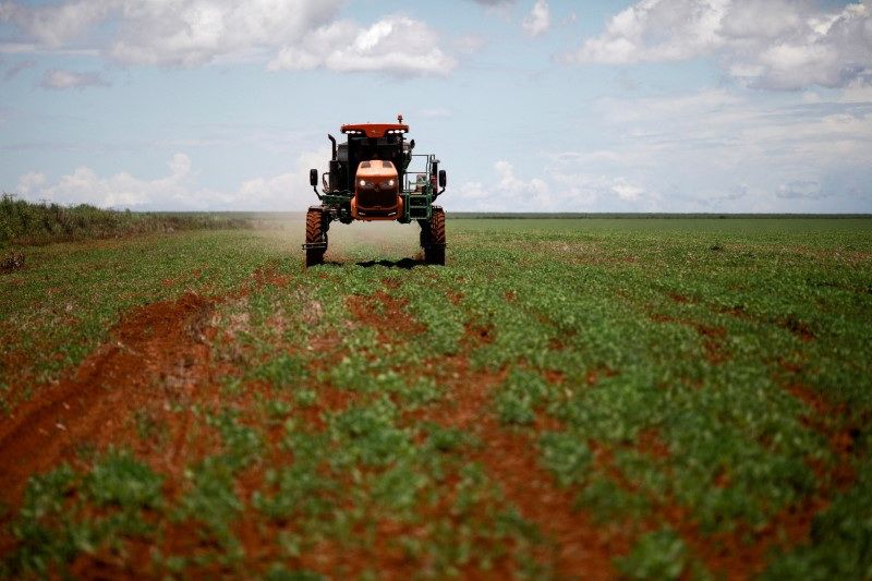 Heringer reportou na semana passada uma redução de 11,6% nas entregas semestrais de fertilizantes