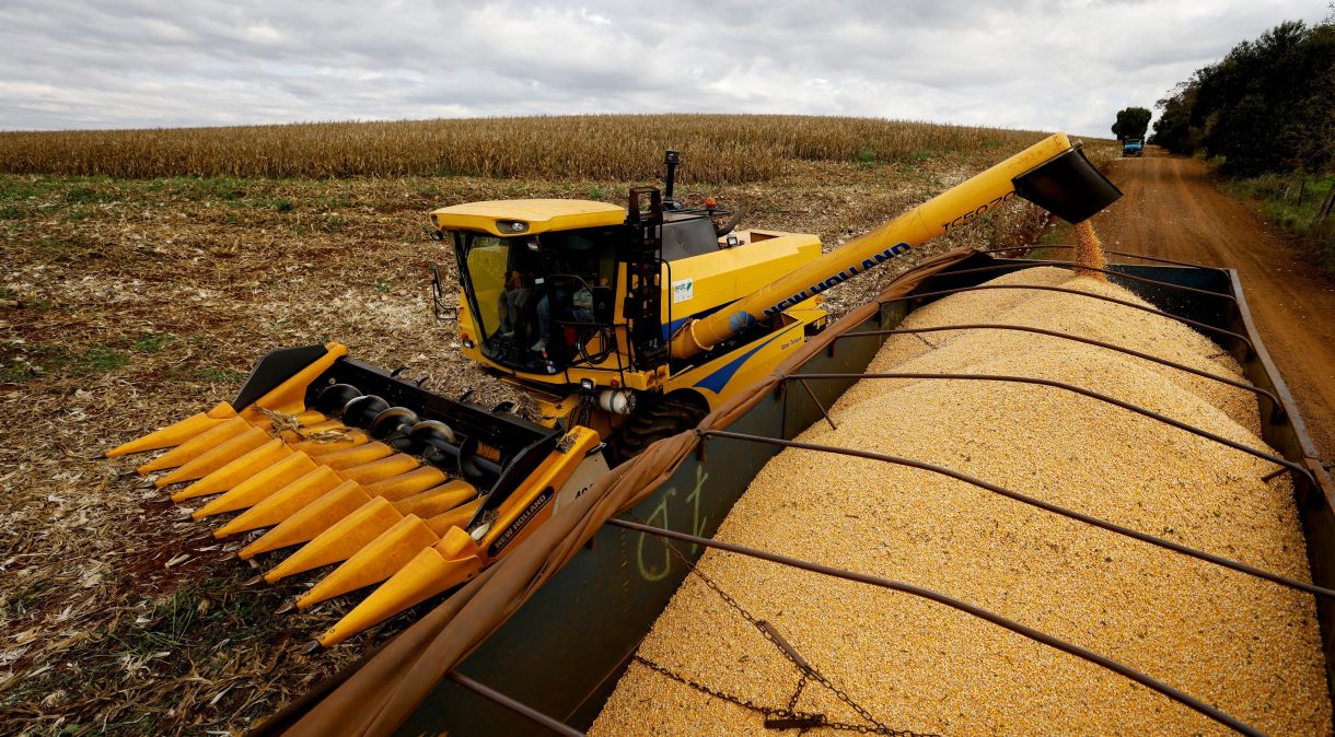 Colheita de milho no Brasil