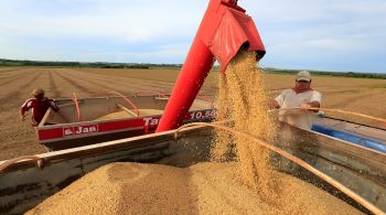 Produtos com maiores aumentos nos volumes de frete no semestre, na comparação anual, foram trigo (+182,5%), açúcar (+75,4%) e milho (+64,7%)