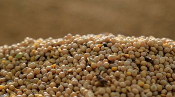 Segundo a Abiove, a exportação de soja do Brasil em 2023 atingirá recorde de 93,7 milhões de toneladas, alta de 1,4 milhão de toneladas ante a previsão de março