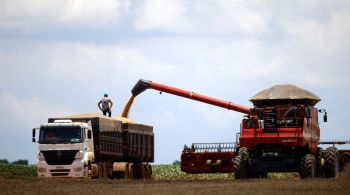 Indicador da escola de agricultura da USP verifica os preços de produtos agrícolas no atacado. Apenas em junho, a queda foi de 2,2%