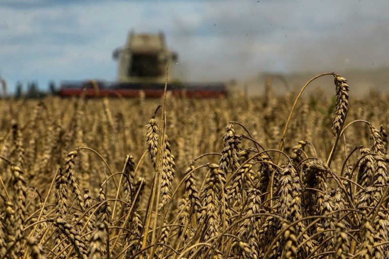 Ucrânia é um grande produtor e exportador global de grãos, mas seus embarques agrícolas foram duramente atingidos pela invasão da Rússia e pelo bloqueio dos portos do Mar Negro