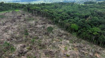 Plataforma analisa o impacto da economia e da governança na preservação da Amazônia