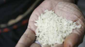Operação visa enfrentar "consequências sociais e econômicas" das enchentes que atingiram Rio Grande do Sul, maior produtor de arroz do país