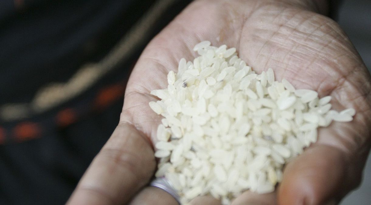 A portaria autoriza a Conab a adquirir até 300 mil toneladas de arroz beneficiado importado.