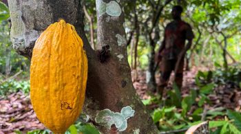 Mercados continuam sustentados por preocupações contínuas de escassez global