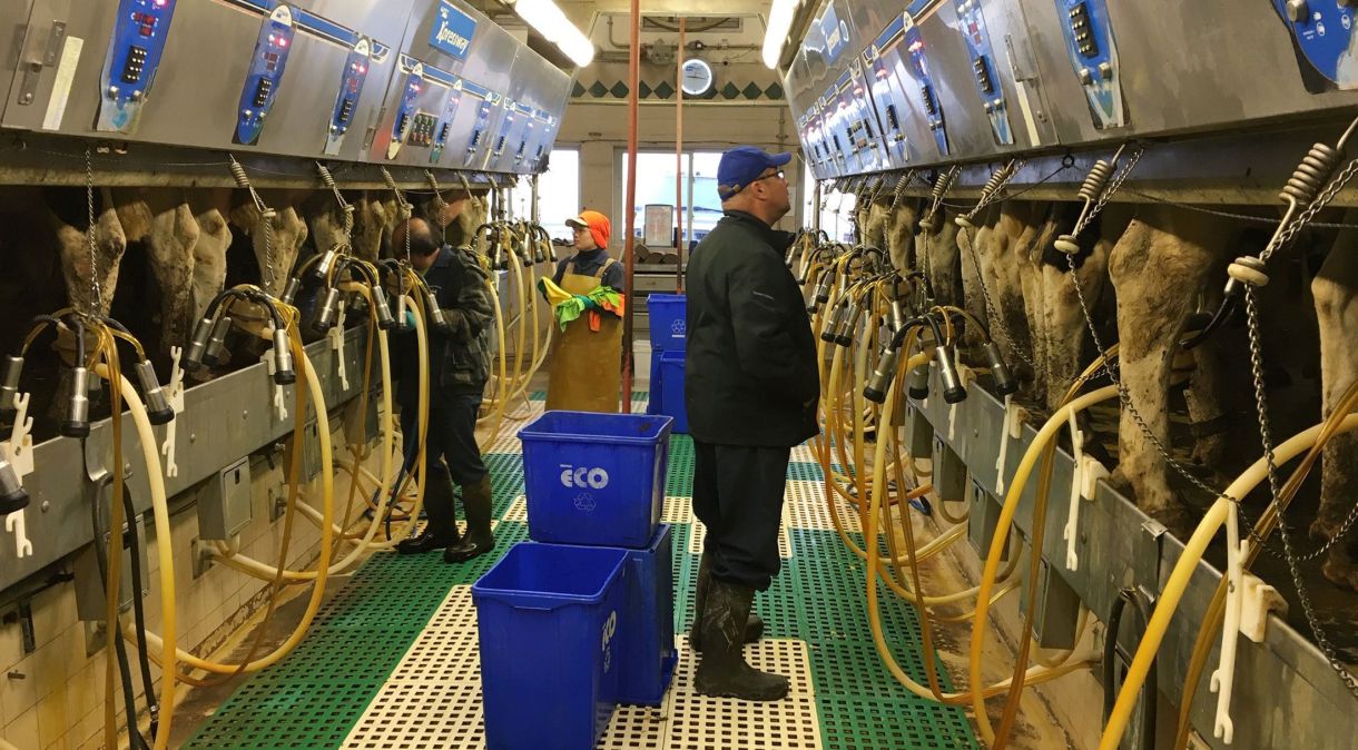 Surto contínuo de gripe aviária no gado leiteiro afetou 67 rebanhos em nove estados desde março, segundo dados do CDC