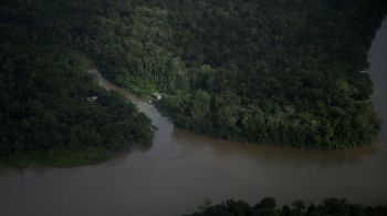 Às vésperas da Cúpula da Amazônia, climatologista Carlos Nobre critica projeto de exploração de petróleo na costa da região no Brasil, mas tem expectativas otimistas para o encontro