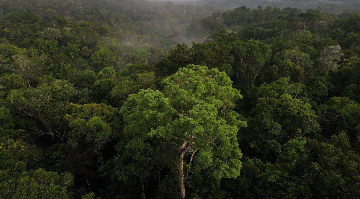 Instrumento foi batizado de ClimateScanner e está sendo desenvolvido por órgãos de controle de 17 países