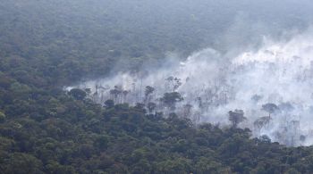 No total, foram desmatados no bioma 9.001 km² em 12 meses; Ibama pedirá mais recursos ao Fundo Amazônia