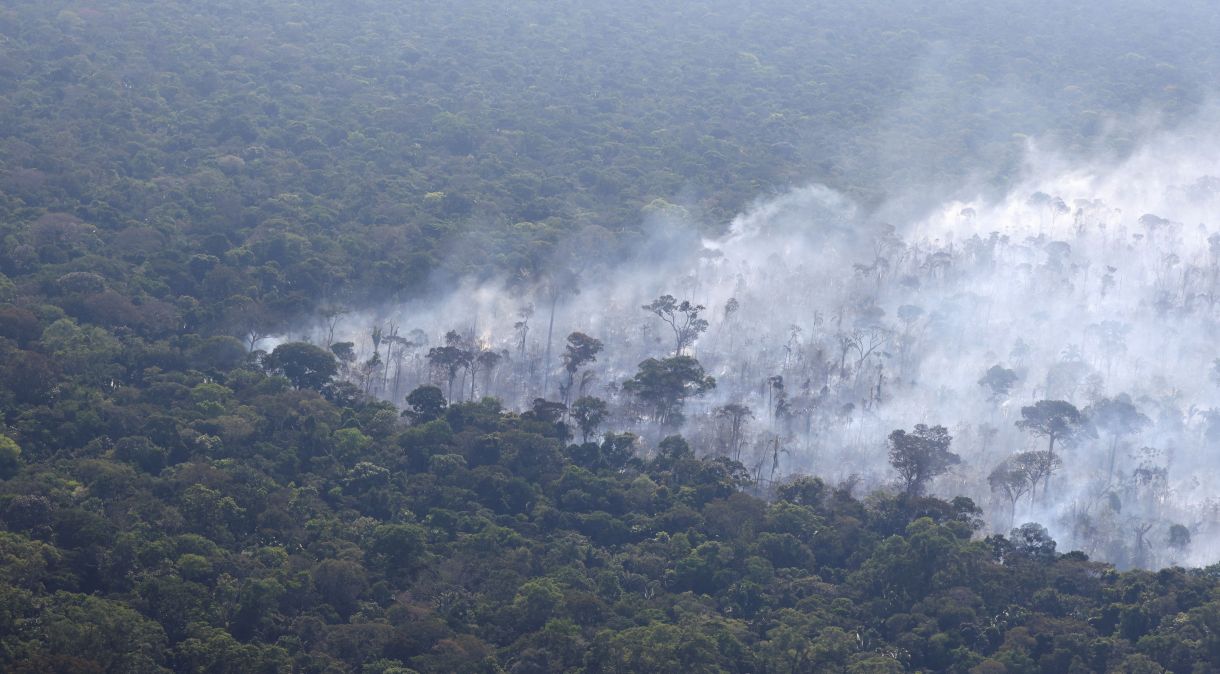 Fumaça de um incêndio sobe no ar, enquanto as árvores queimam entre a vegetação na floresta amazônica do Brasil, perto de Humaitá, Estado do Amazonas, Brasil