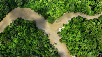 Capital do Pará foi aceita oficialmente como cidade anfitriã das discussões sobre crise climática; será a primeira cúpula climática realizada na Amazônia