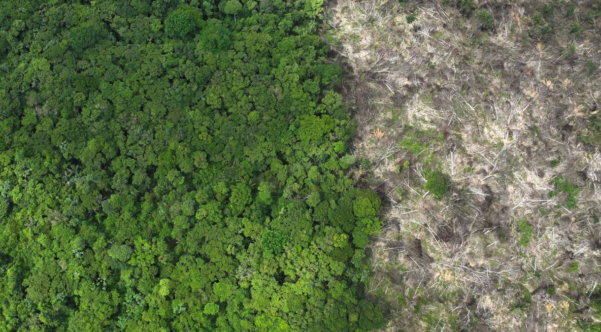 Área desmatada da Floresta Amazônica, no Brasil