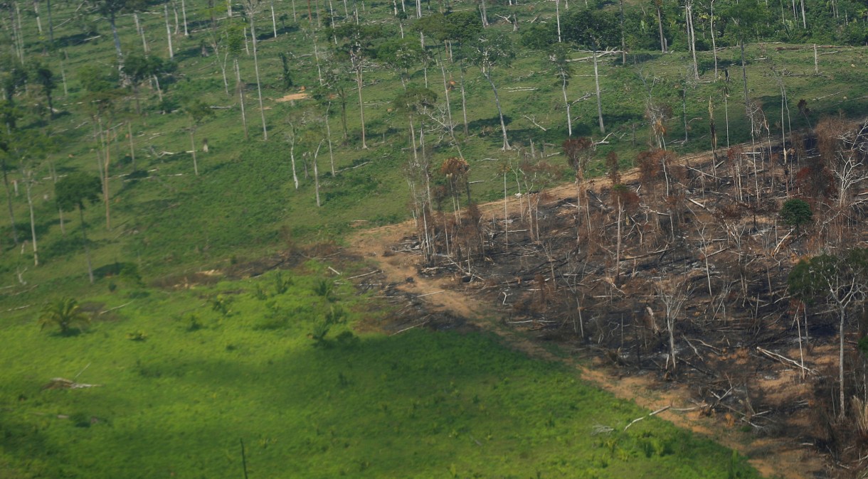 Vista aérea de área desmatada da Amazônia em Rondônia