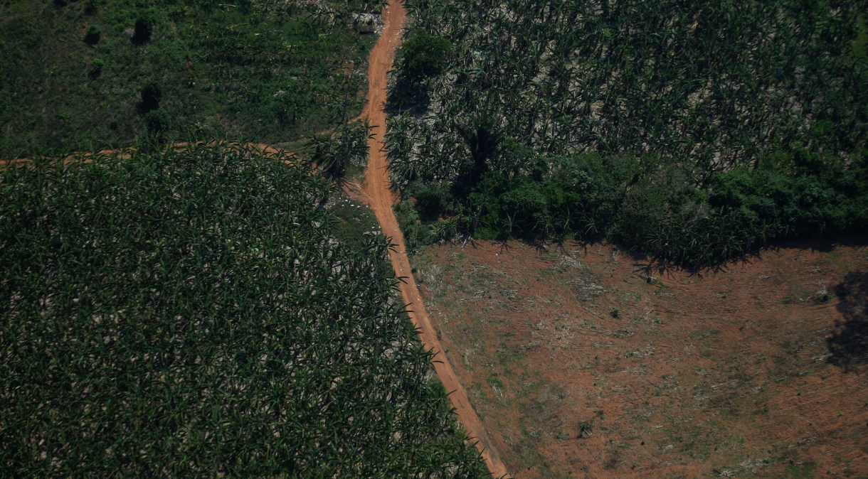 Vista aérea de região desmatada da Amazônia em Rondônia