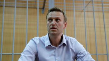 Apoiadores de Navalny afirmam que sua detenção e encarceramento são uma tentativa motivada politicamente de reprimir suas críticas ao presidente russo
