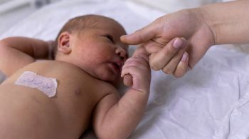 Segundo estudo, bebês que morreram da síndrome tinham níveis menores de uma enzima chamada Butirilcolinesterase (BChE) 