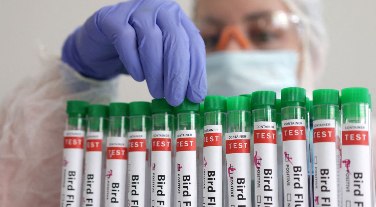 Pessoa manuseia tubos de ensaio com o rótulo de gripe aviária em foto de ilustração
